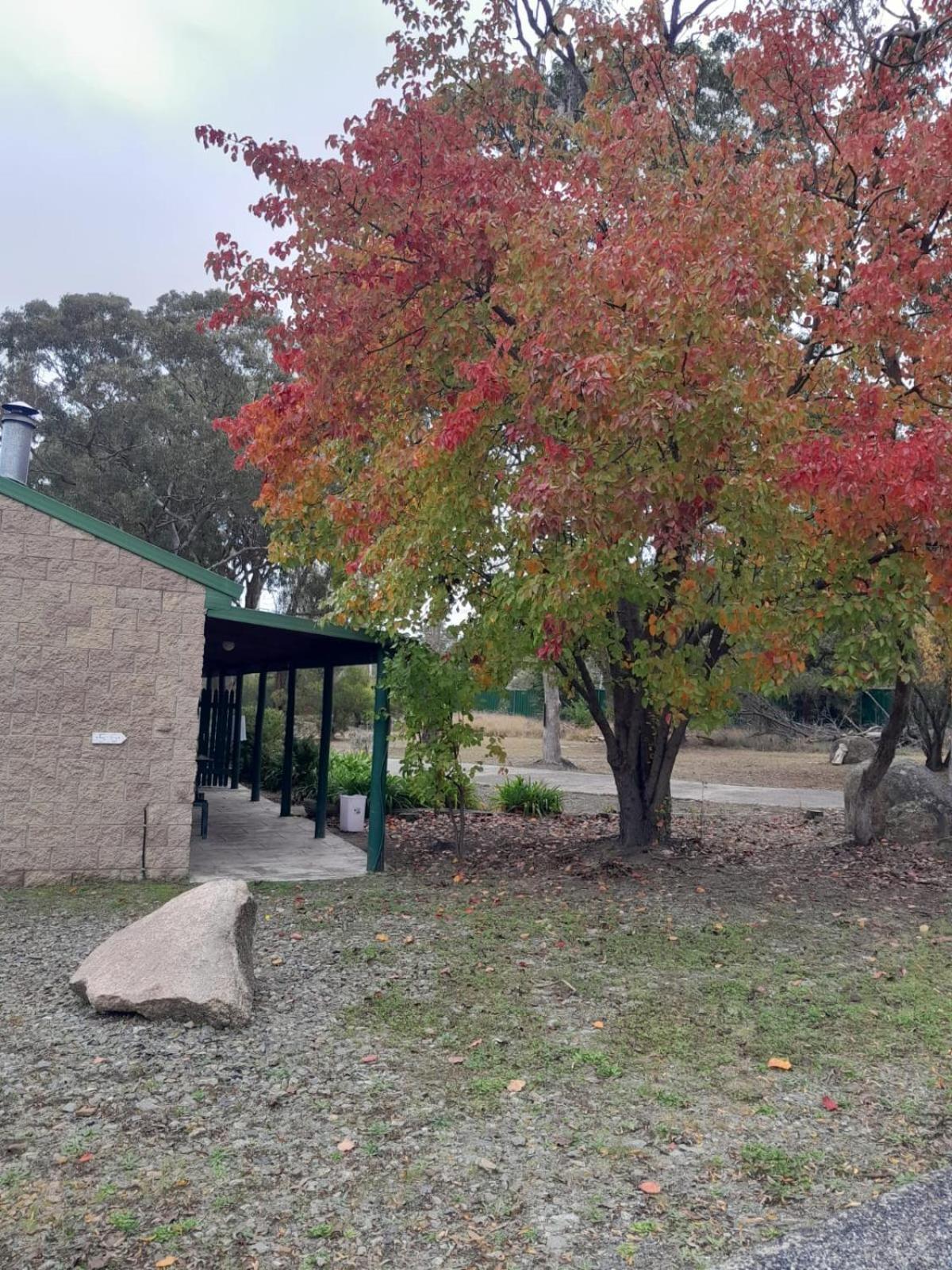 Murray Gardens Motel Stanthorpe Exterior photo